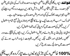 Podina Kalonji Phakki is the best natural ingredients Product for digestive system.